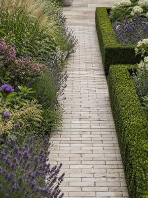 Dijon Heritage Textured Natural Limestone Pavers - 200x50x40mm