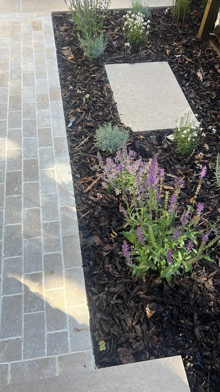Dijon Limestone Honed Tumbled Cobbles - 200x100x30mm