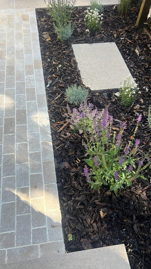 Dijon Limestone Honed Tumbled Cobbles - 200x100x30mm