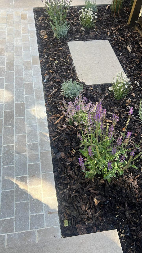 Dijon Limestone Honed Tumbled Cobbles - 200x100x30mm