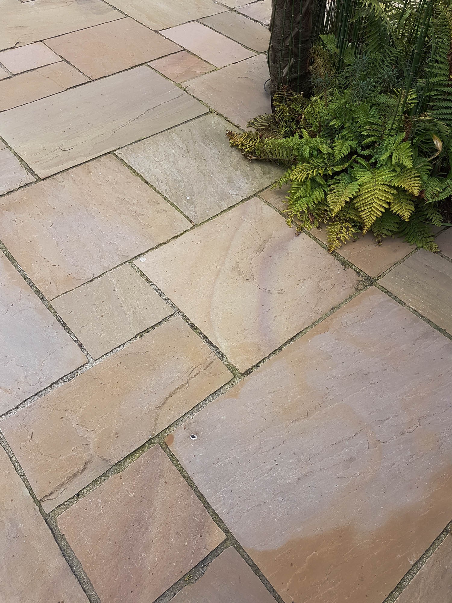 Rippon Buff Indian Sandstone Premium Sandstone Patio Slabs